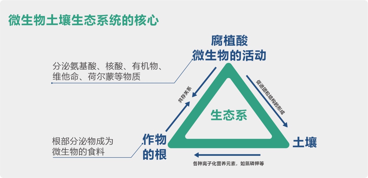 高品質(zhì)有機小肽原液